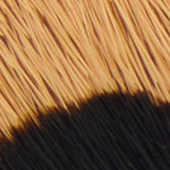 Ophira