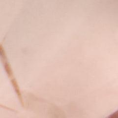 Caresmini
