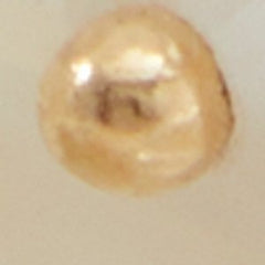 Foiwia