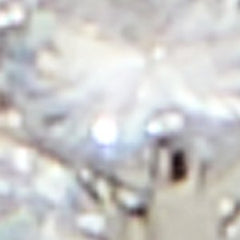 Miraollamini