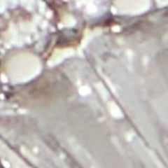 Iconshine