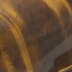 Zaraya_f